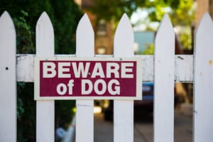 Beware of the dog sign on white picket fence